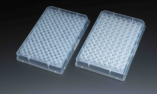 What Is A 96 Well Bacterial Culture Plate And How To Use It?